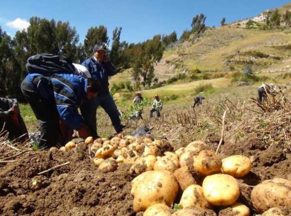 El relanzamiento de Sierra Productiva