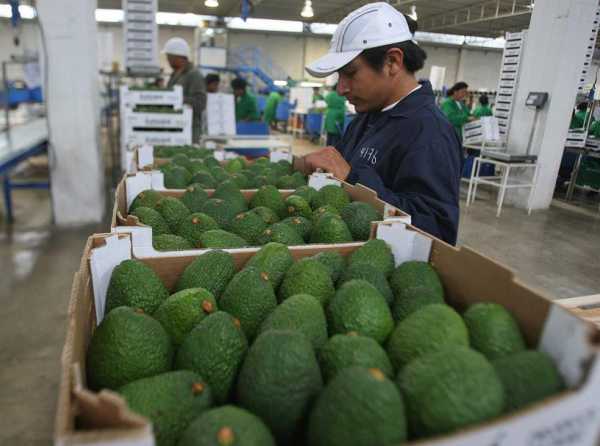 La agroexportación no debe parar