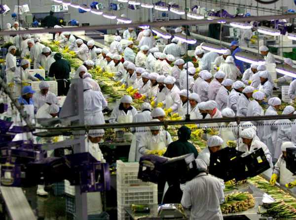 Perú campeón en agroexportación