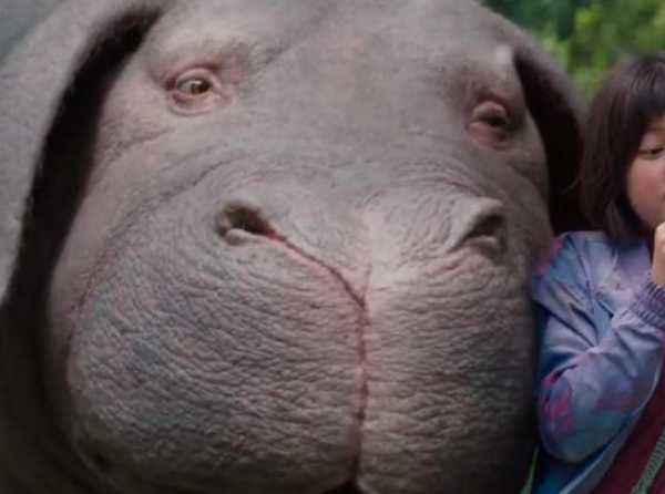 Okja, la transgénica