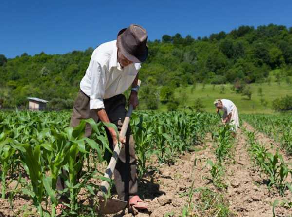 La agroexportación, la clase media agraria y los desafíos futuros