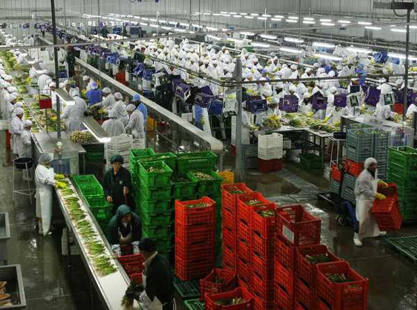 El nuevo motor de la agroexportación