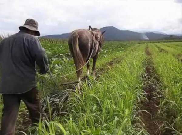 El ministro y la concentración de tierras agrícolas