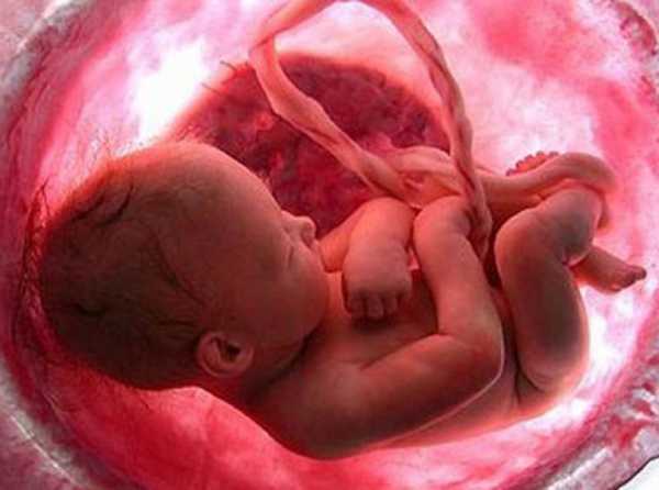 &iexcl;No son creencias, es vida!