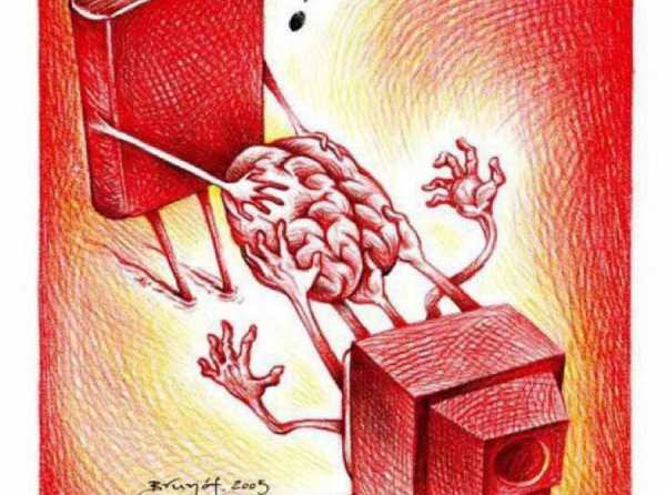 La política en tiempos de “Homo Videns”