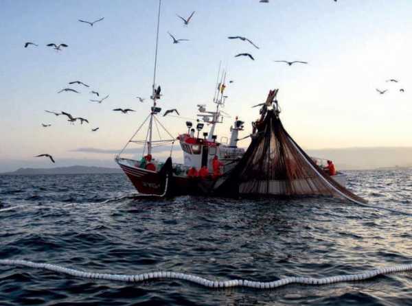 La pesca industrial contribuye al crecimiento del PBI