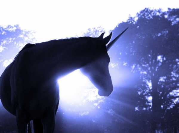 Cuernos de unicornio ¿Cuándo empezó nuestra obsesión?