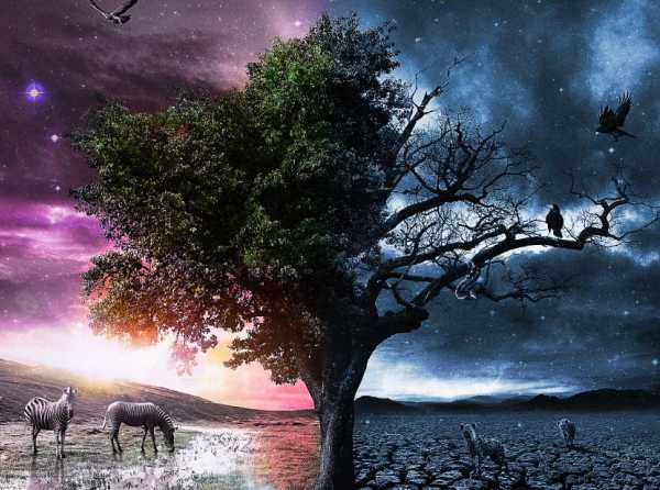 No hay árbol bueno que dé frutos malos