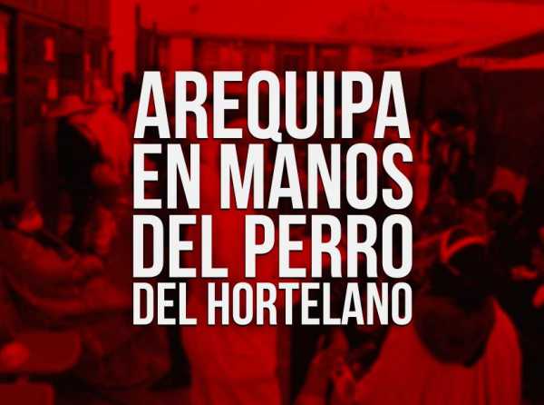 Arequipa en manos del perro del hortelano