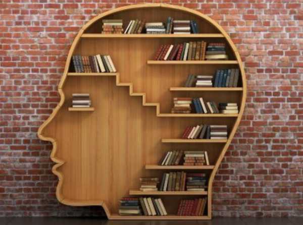 La indexación de los cerebros