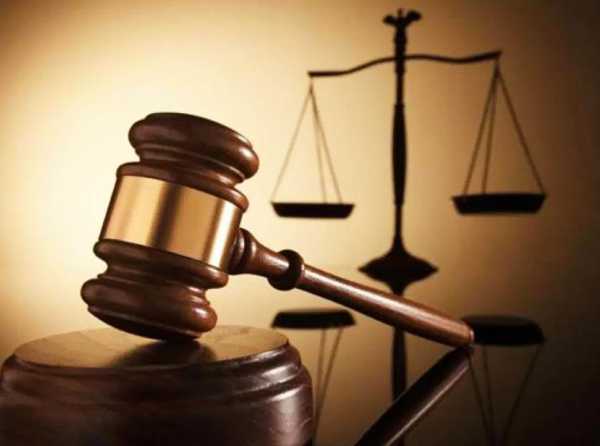 No es el &aacute;rbol, es el bosque