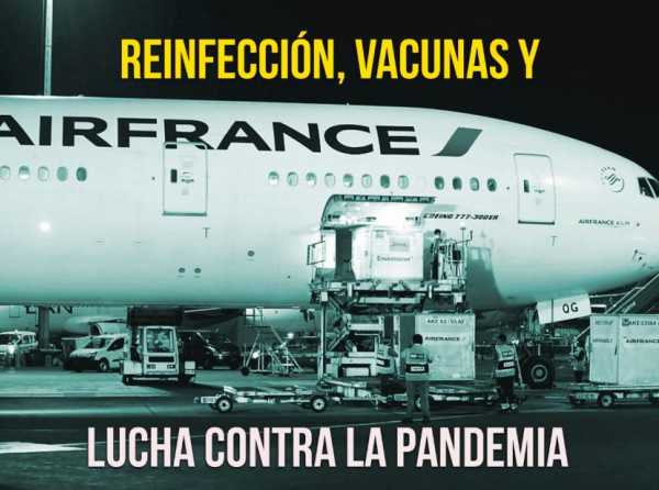 Reinfección, vacunas y lucha contra la pandemia