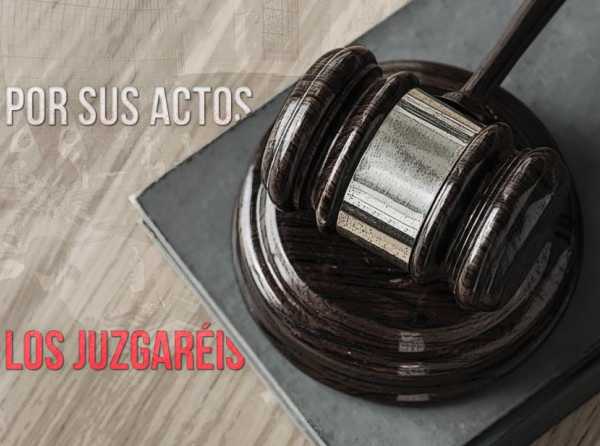 Por sus actos los juzgaréis