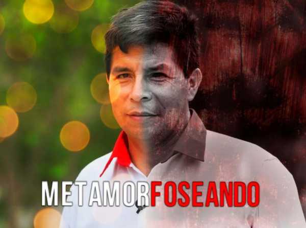 Metamorfoseando