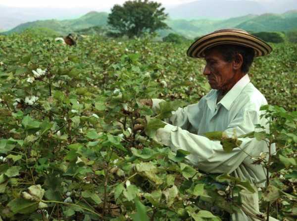 De Soto, los agricultores, la propiedad y La Convención