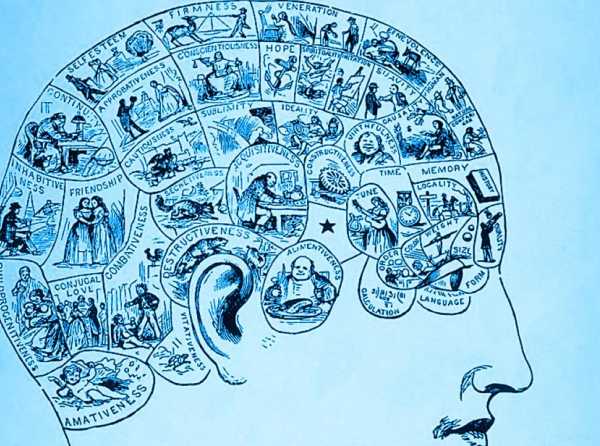 Pseudociencia de perfiles