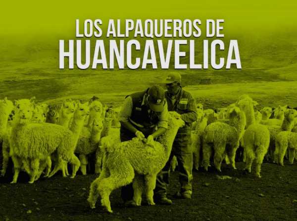 Los alpaqueros de Huancavelica