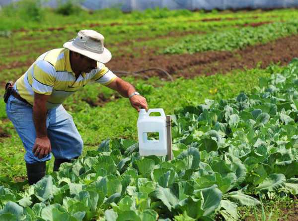 Una nueva batalla: la continuidad del r&eacute;gimen de promoci&oacute;n agraria