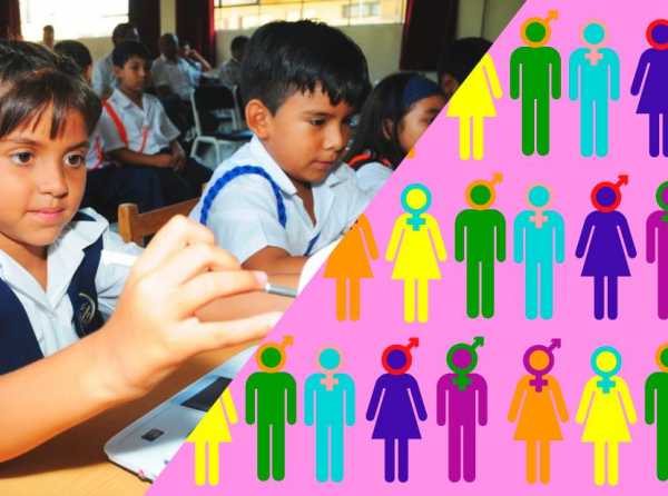 &iquest;Calidad de aprendizaje o ideolog&iacute;a de g&eacute;nero?