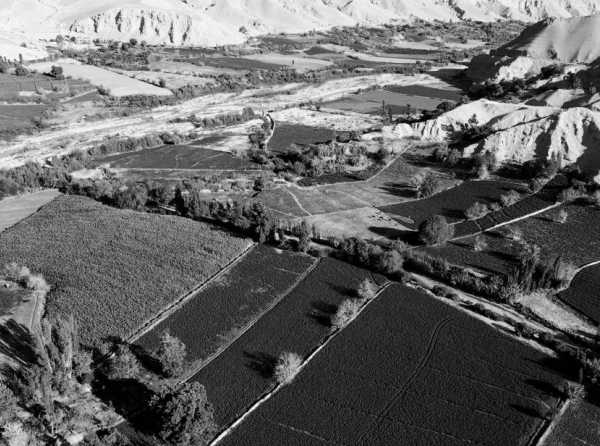 Majes Siguas II y la urgencia de una política agraria moderna
