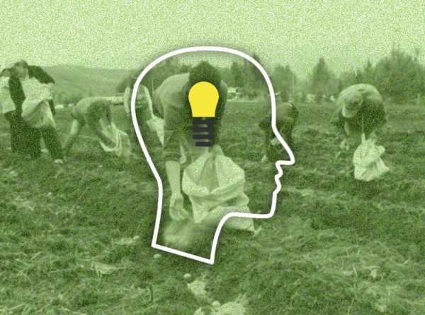 El Estado burocrático, el camino amable al socialismo y la pobreza