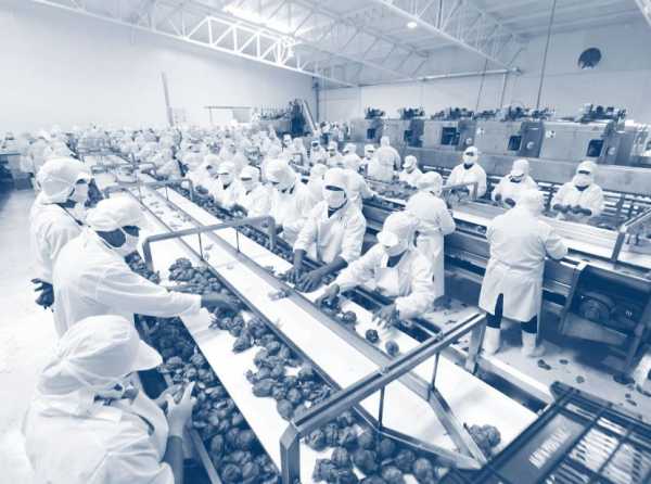 La batalla de ideas contra los enemigos de la agroexportaci&oacute;n nacional