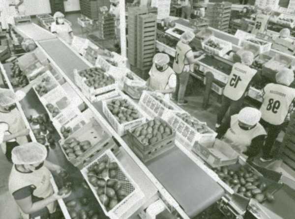 Persistir en el sue&ntilde;o exportador cueste lo que cueste