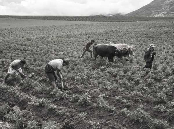 La expansión de la agricultura en el norte del país