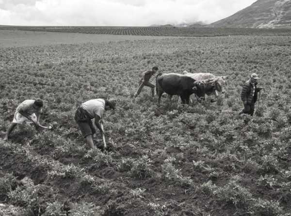 La expansión de la agricultura en el norte del país