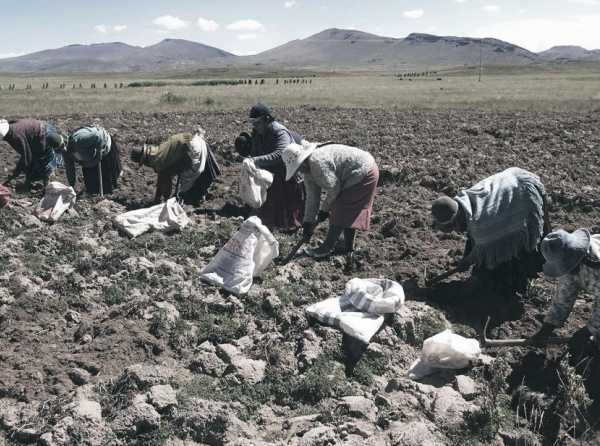 ¡El Perú requiere una ley de promoción agraria con urgencia!