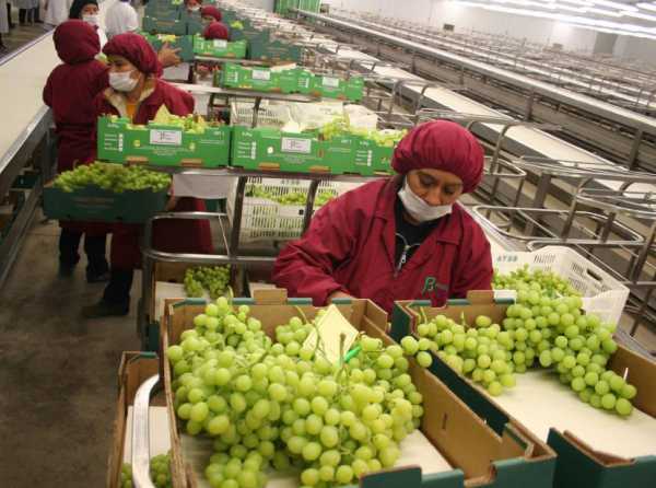 Sector agrario en la vitrina del mundo