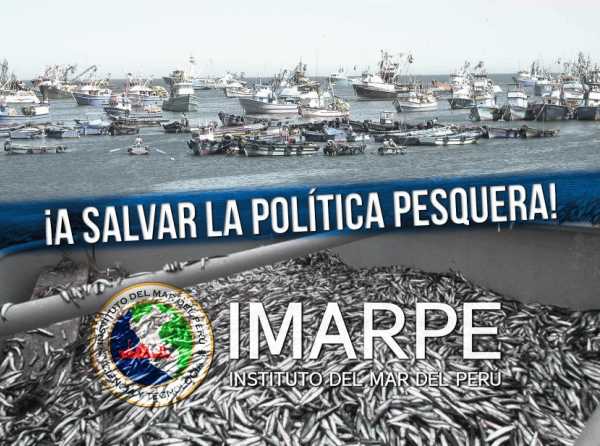 Importancia del Imarpe en política pesquera