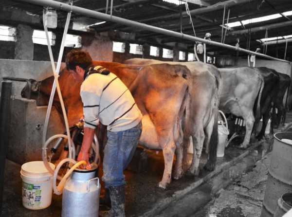 ¡Mercantilismo de la leche sin anestesia!