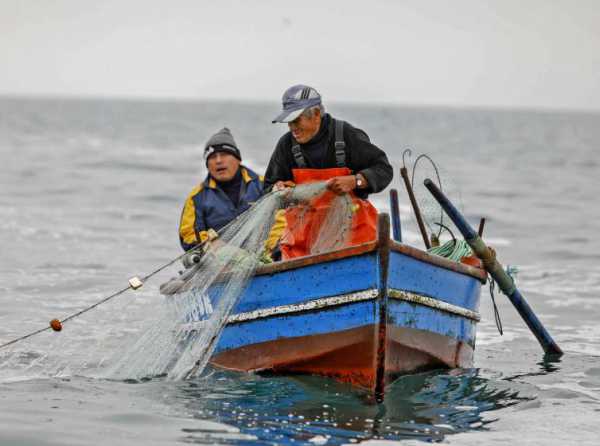 Perú formaliza su pesca artesanal