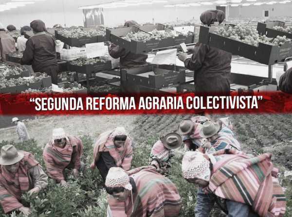 Detengamos la “segunda reforma agraria colectivista”