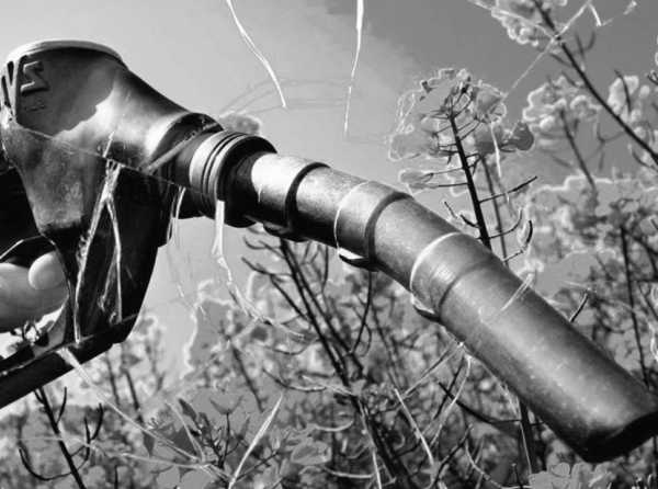 Incapacidad gubernamental para controlar las triangulaciones en la importación de biodiésel