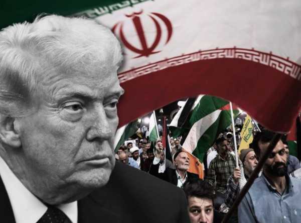 La guerra para la paz