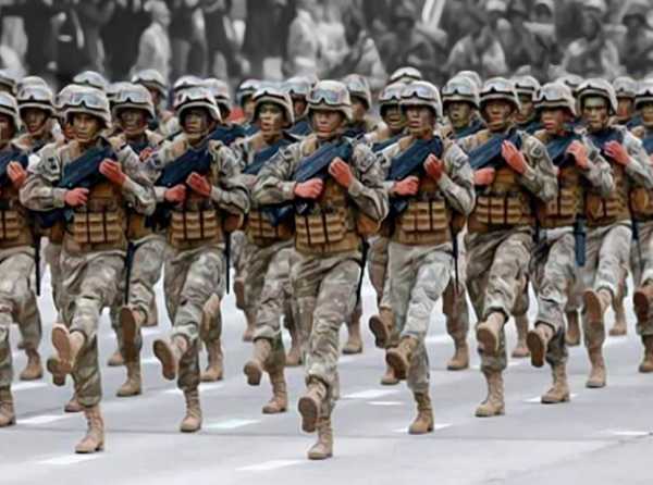 Retos de las fuerzas armadas en seguridad interna