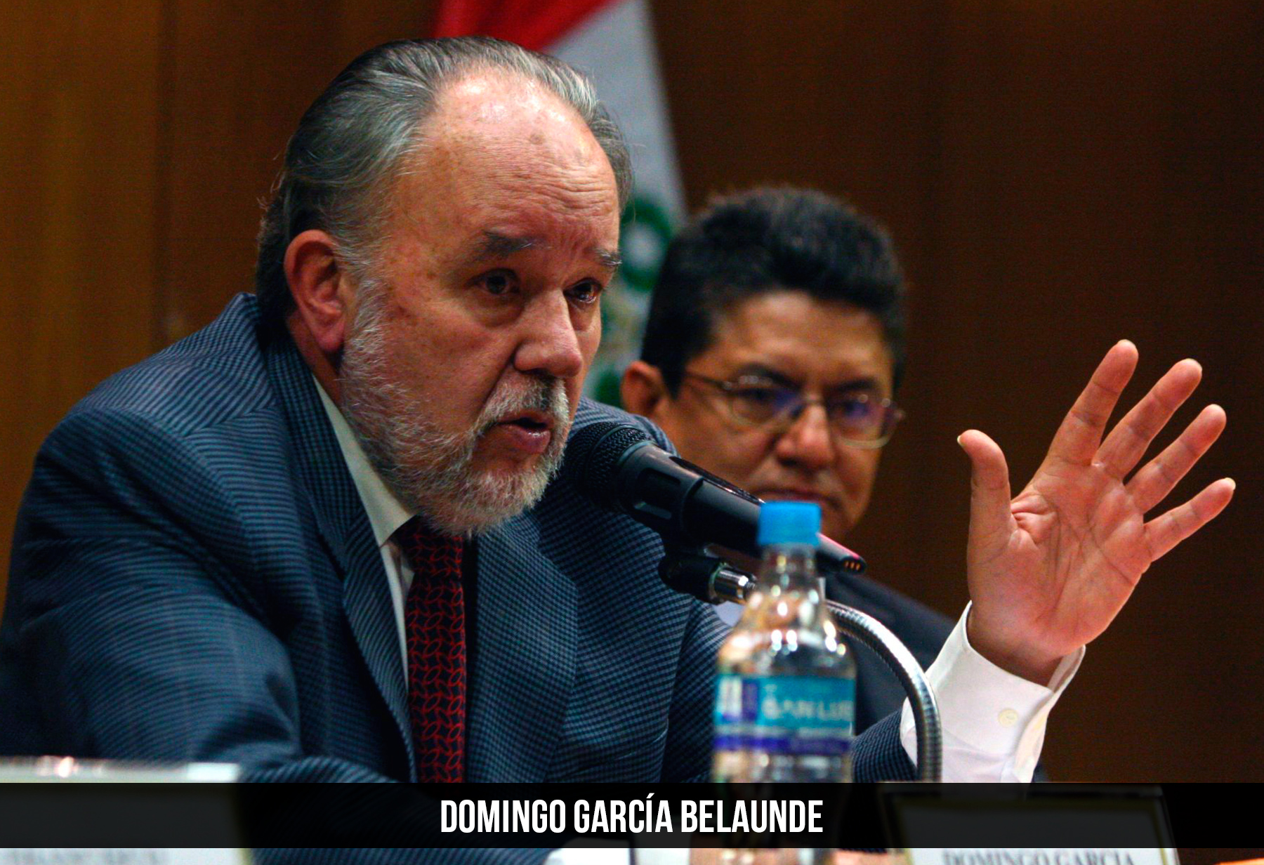 Domingo García Belaunde