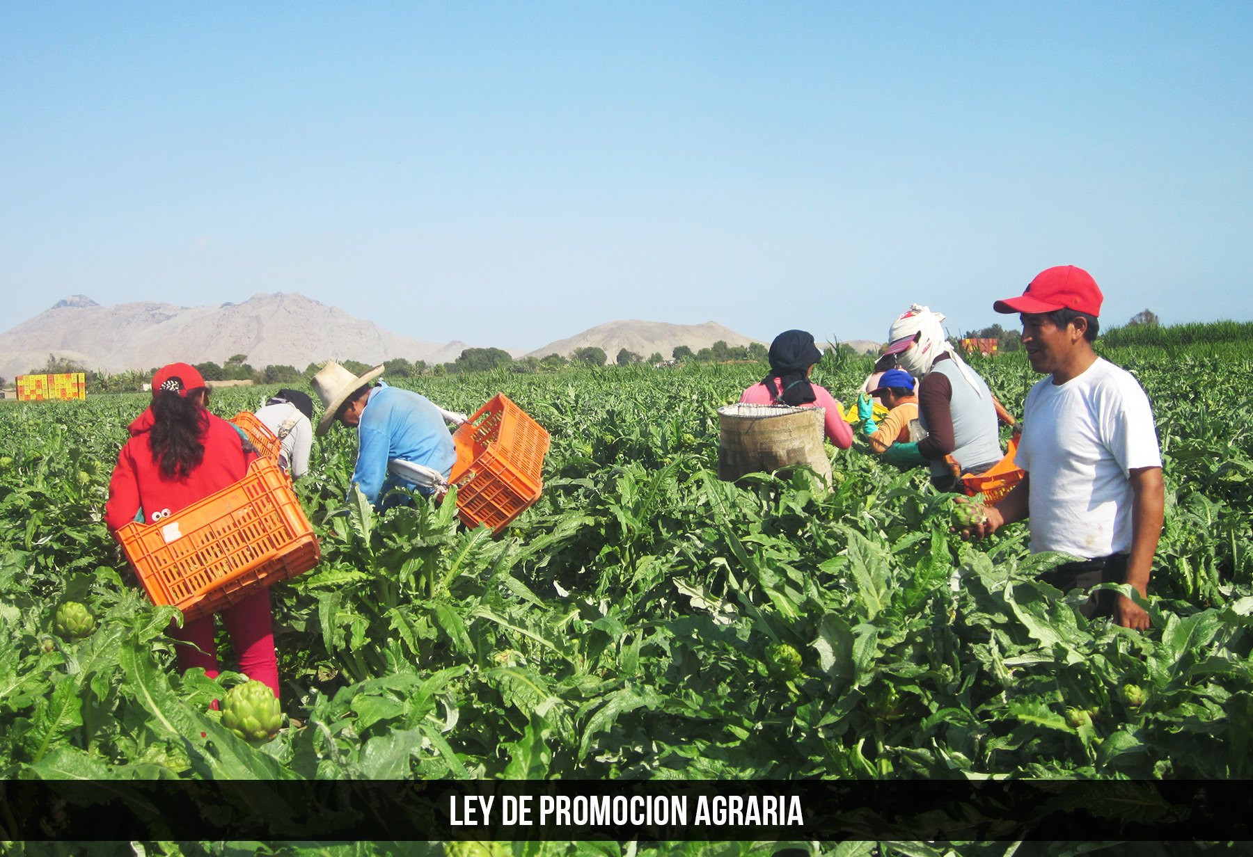 Ley de Promocion Agraria