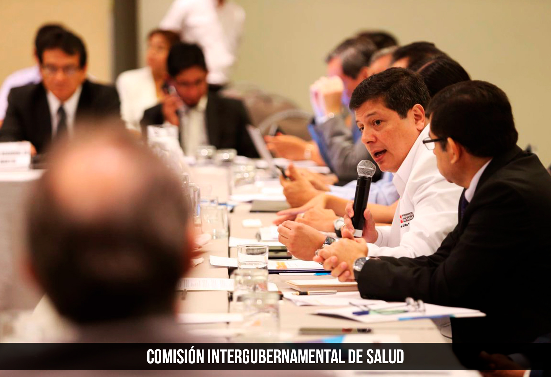 Comisión Intergubernamental de Salud