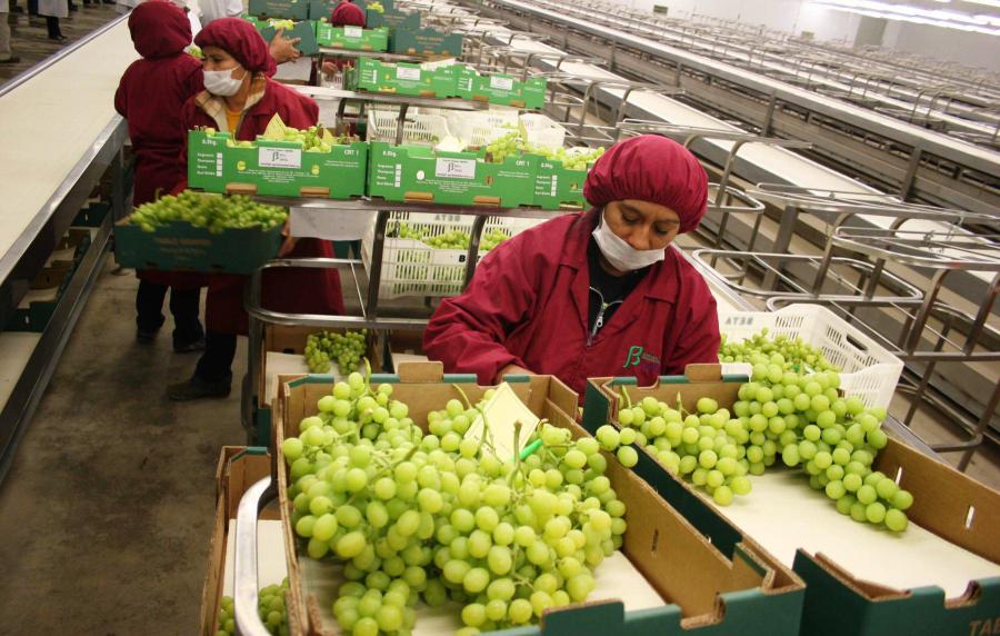 La agroexportación  imparable