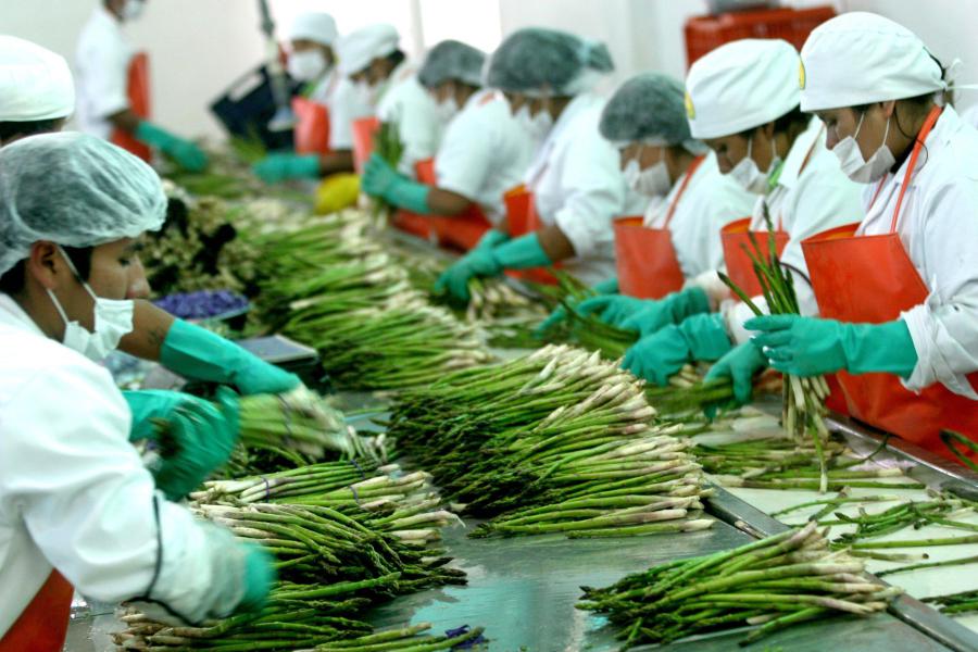Perú sigue avanzando en agroexportación