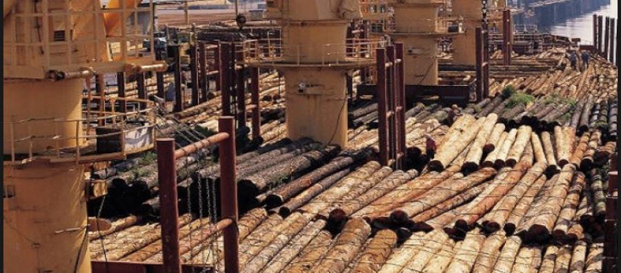 El potencial industrial de la Amazonía