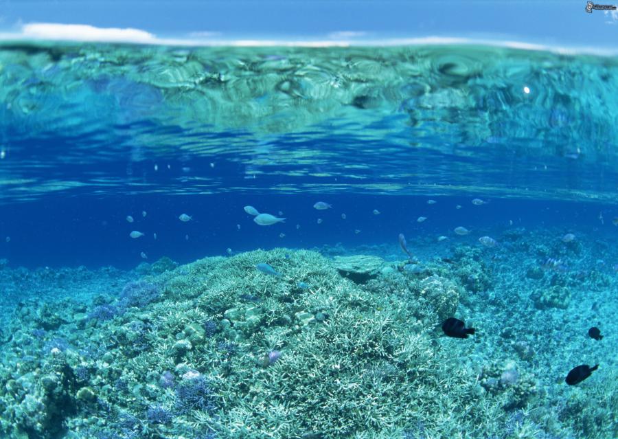 Patrañas climáticas