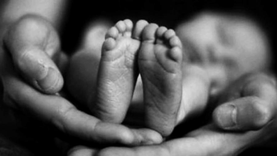 Aborto, el más grande genocidio