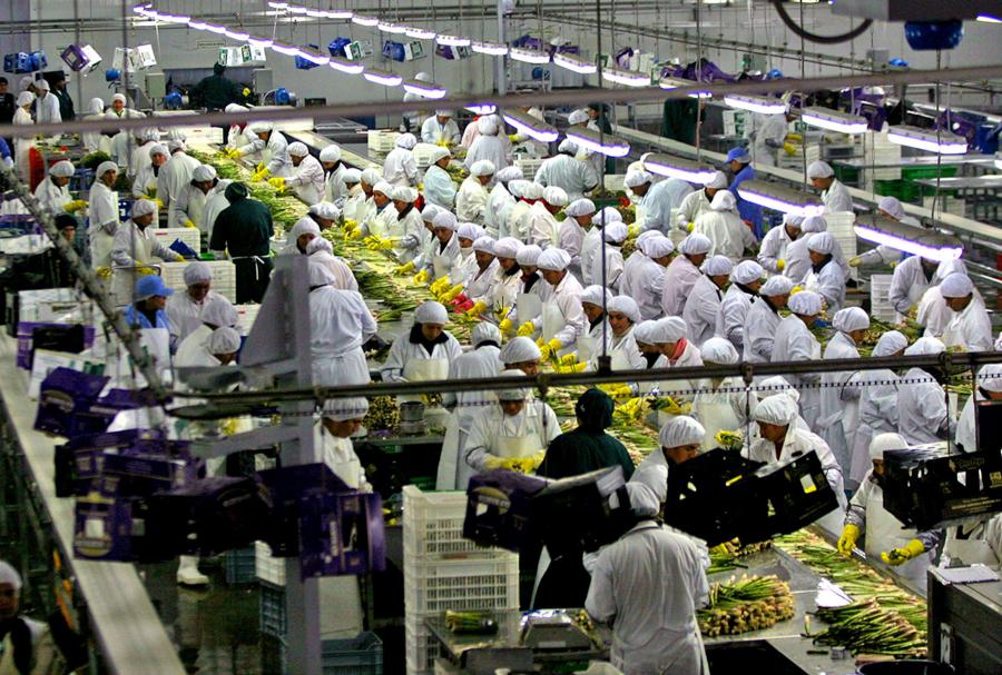 Los CITE y la agroexportación