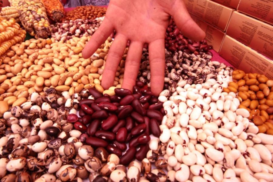 Las legumbres y la agroexportación