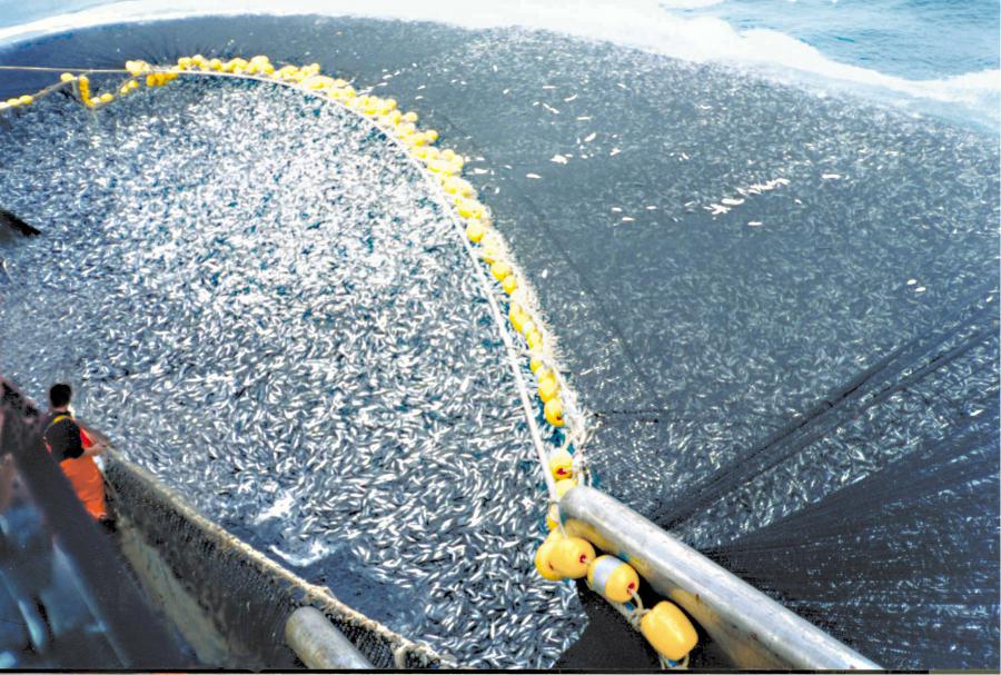 La pesca y el ecologismo radical