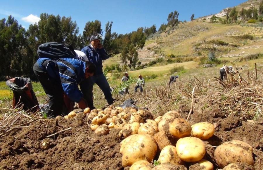 El relanzamiento de Sierra Productiva